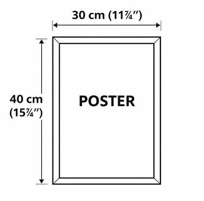 Molly – The One Whose Home Is the Journey